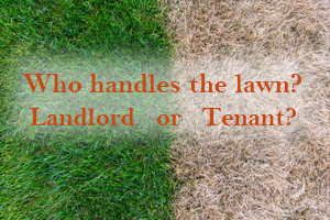 Who Handles The Lawn?